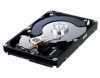 Samsung HDD 1TB SATA-II 3.5" 7200RPM 32MB PUFFER (3 év gar.)