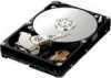 Samsung F1 HDD 1TB SATA/300 7200RPM 32MB PUFFER ( Szervizben 3 év )