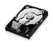 Samsung F3 HDD 250GB S-ATA300 7200RPM 16MB PUFFER ( Szervizben 3 �v gar.) HD256GJ fot�