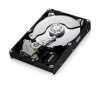 Samsung F3 HDD 250GB S-ATA300 7200RPM 16MB PUFFER Szervizben HD256GJ fot�