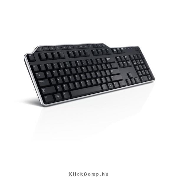 Billentyűzet DELL KB216 Multimedia Keyboard fotó, illusztráció : KB216_180617