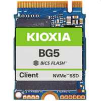 256GB SSD M.2 2230 NVMe KIOXIA BG5 KBG50ZNS256G                       