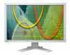 Eizo Monitor WUXGA, 1000:1 kontraszt, 360 cd/m, 178°/178°, Auto EcoView