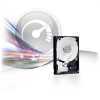 Western Digital WD5002AALX 500GB 3,5 Desktop 7200rpm, 32 MB puffer, SATA-600 - Caviar Black ( 60 hónap )