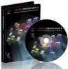 Adobe CS4 oktató DVD