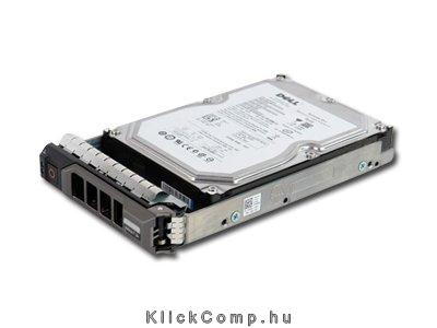 2TB 3.5  NLSAS HDD winchester HOT PLUG FULLY ASSEMBLED-KIT DELL fotó, illusztráció : 400-19343