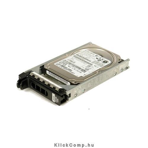 600GB 3.5   SAS HDD winchester DELL Hot Plug Fully Assembled Kit fotó, illusztráció : 400-20082
