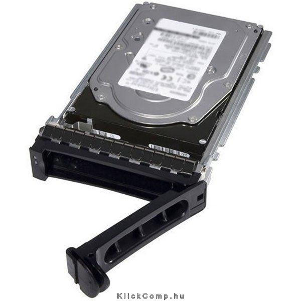1TB 3.5  NLSAS HDD winchester Cabled Non Assembled DELL fotó, illusztráció : 400-22718