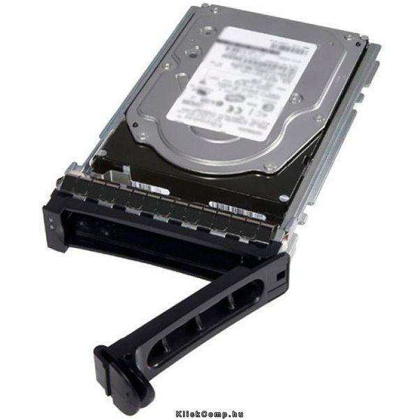 300GB, SAS 6Gbps, 2.5-in, 10K RPM Hard Drive Cabled fotó, illusztráció : 400-23422