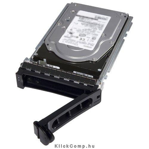 1TB 3,5  HDD NLSAS 7.2K 6Gbps Hot-plug Hard Drive fotó, illusztráció : 400-AEFJ