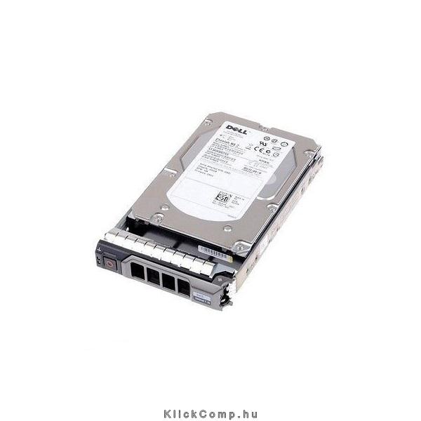 2TB 3,5  HDD NLSAS 7.2K 6Gbps Hot-plug Hard Drive fotó, illusztráció : 400-AEGC