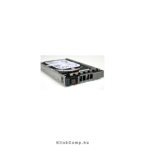 300GB 2,5  HDD SAS 10K 12Gbps Hot-plug Hard Drive fotó, illusztráció : 400-AJOQ