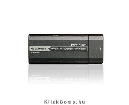 DVB-T Hybrid + FM tuner fotó, illusztráció : 61H830HBF0A7