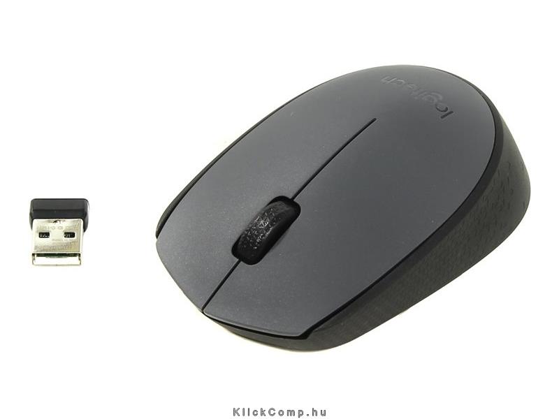 Vezetéknélküli egér Logitech M170 szürke fotó, illusztráció : 910-004642