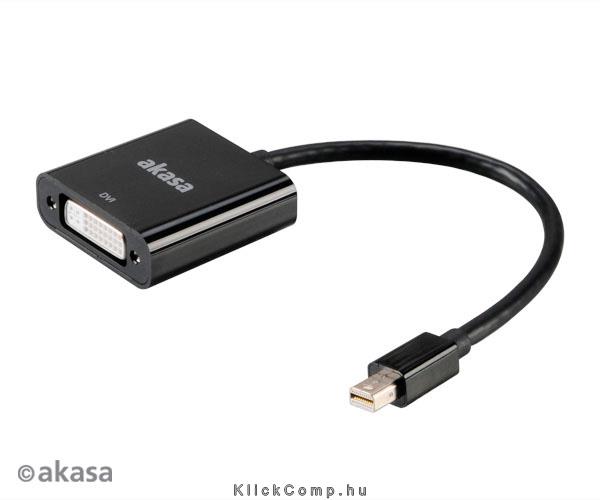 Mini Displayport - DVI adapter - Akasa AK-CBDP08-20BK fotó, illusztráció : AK-CBDP08-20BK