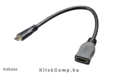 HDMI - miniHDMI - 25cm - Akasa AK-CBHD10-25BK fotó, illusztráció : AK-CBHD10-25BK