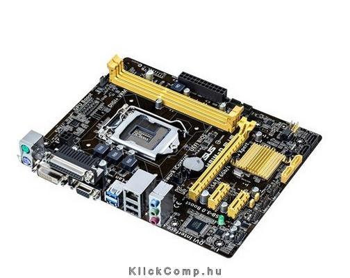 ASUS H81M-D PLUS alaplap fotó, illusztráció : AMH81MDPLUS