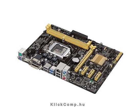 Alaplap H81M ASUS H81M-PLUS fotó, illusztráció : AMH81MPLUS