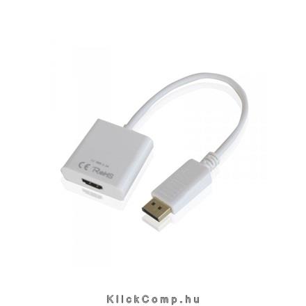 Display Port to HDMI APPROX APPC16 Adapter fotó, illusztráció : APPC16