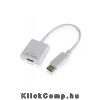 Display Port to HDMI APPROX APPC16 Adapter                                                                                                                                                              