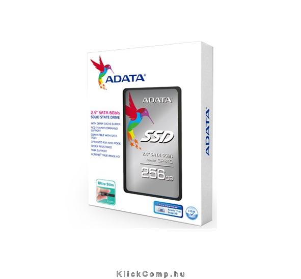 256GB SSD SATA3 2,5 fotó, illusztráció : ASP610SS3-256GM-C