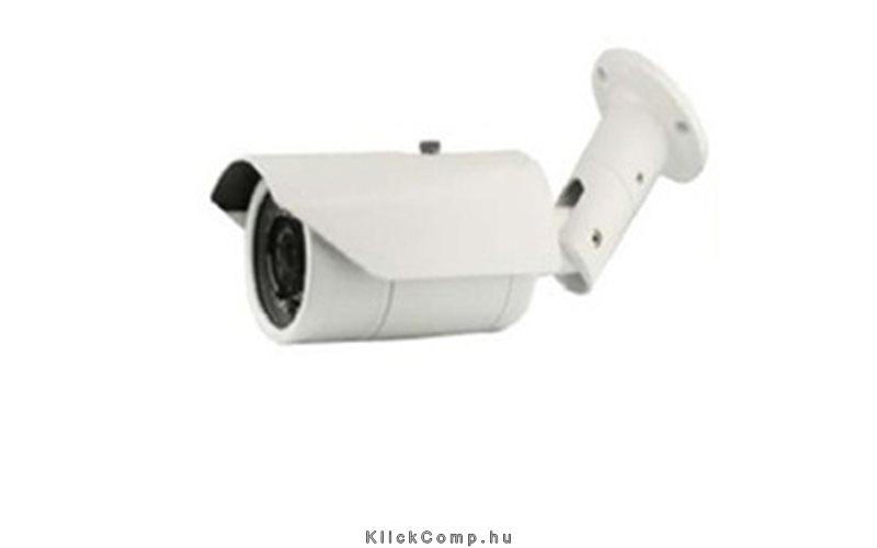 IP Bullet kamera, kültéri, 1,3MP1280x960, 2,8-12mm, IR40m, DandNICR, IP66, BLC, fotó, illusztráció : AVZM40P130