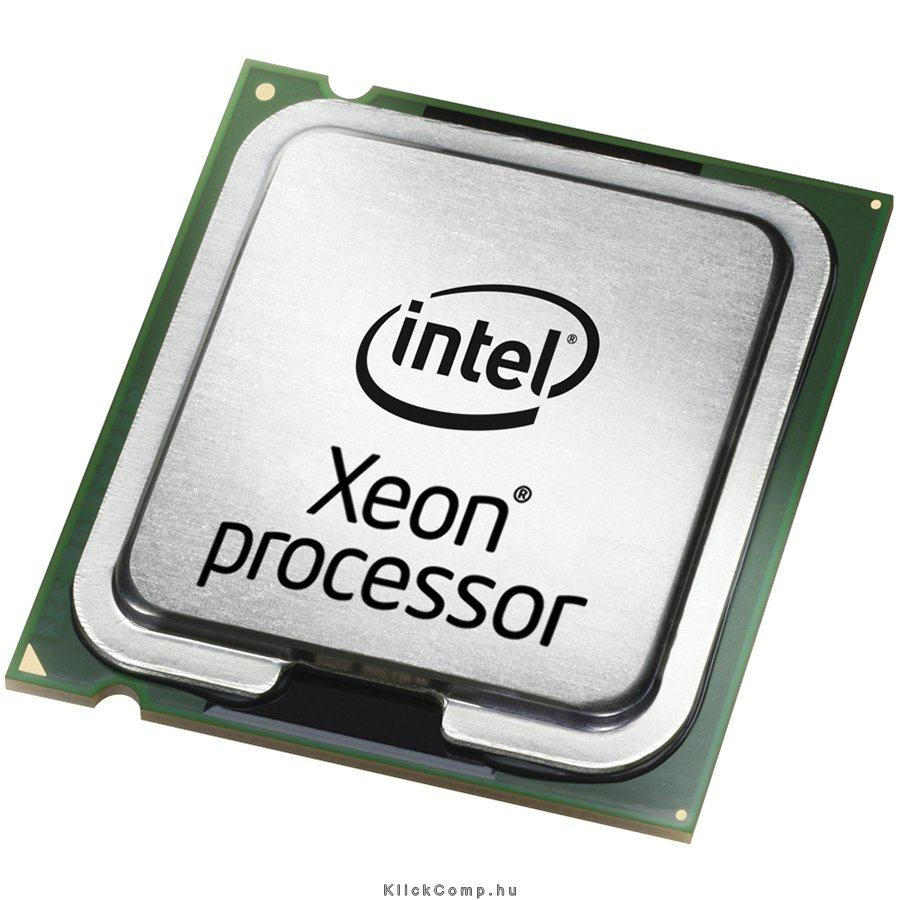 CPU Server 4-Core Xeon E5-2407V2 2.4 GHz, 10M Cache, LGA1356 box fotó, illusztráció : BX80634E52407V2SR1AK