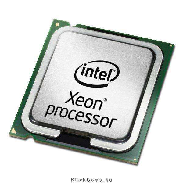 INTEL CPU Server Xeon E5-2407 fotó, illusztráció : CM8062001048200SR0LR