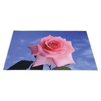 Notebook matrica Rózsa Laptop dekorációs védőfólia - Már nem forgalmazott termé fotó, illusztráció : CMP-NBSKIN10-3