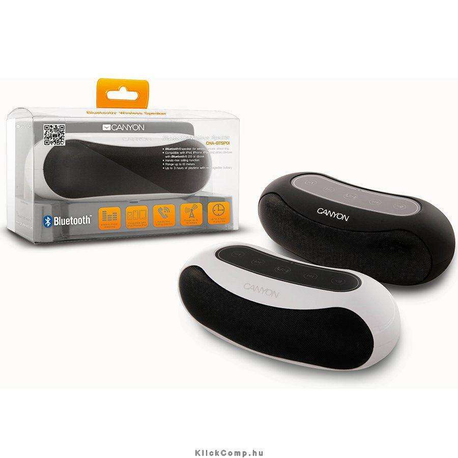 Bluetooth wireless speaker with black color including micro USB cable/3.5mm aud fotó, illusztráció : CNA-BTSP01B