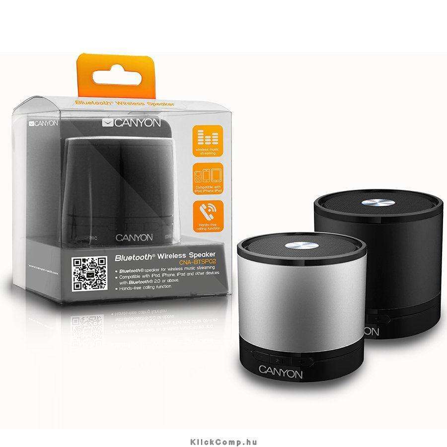 Bluetooth wireless speaker with black color including micro USB cable/3.5mm aud fotó, illusztráció : CNA-BTSP02B