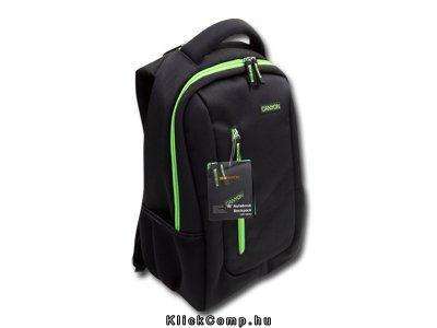 Laptop Case Backpack for up to 16  laptop, Nylon, Black/Green fotó, illusztráció : CNR-NB19L1