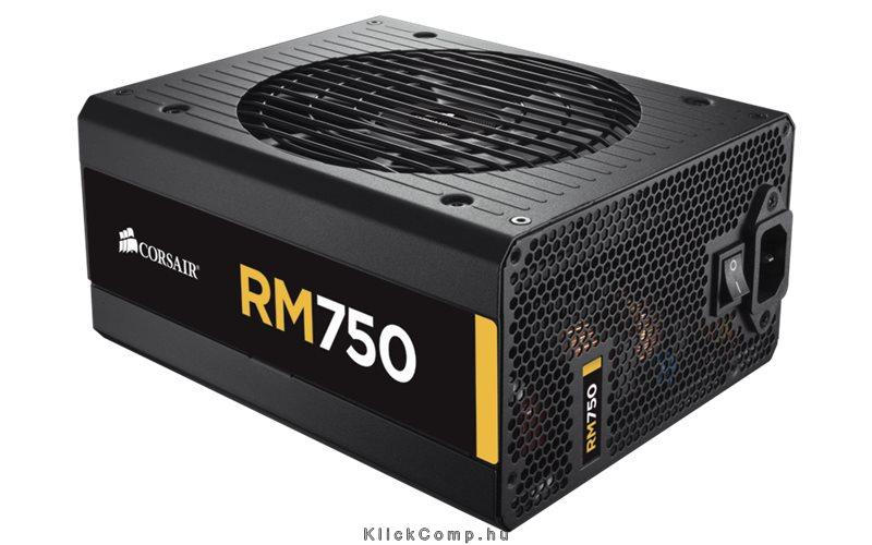 RM 750W, FULL Moduláris tápegység 80 + Gold fotó, illusztráció : CP-9020055-EU