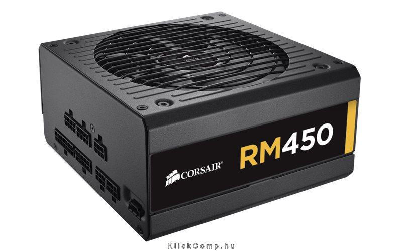 RM 450W, FULL Moduláris tápegység 80 + Gold fotó, illusztráció : CP-9020066-EU