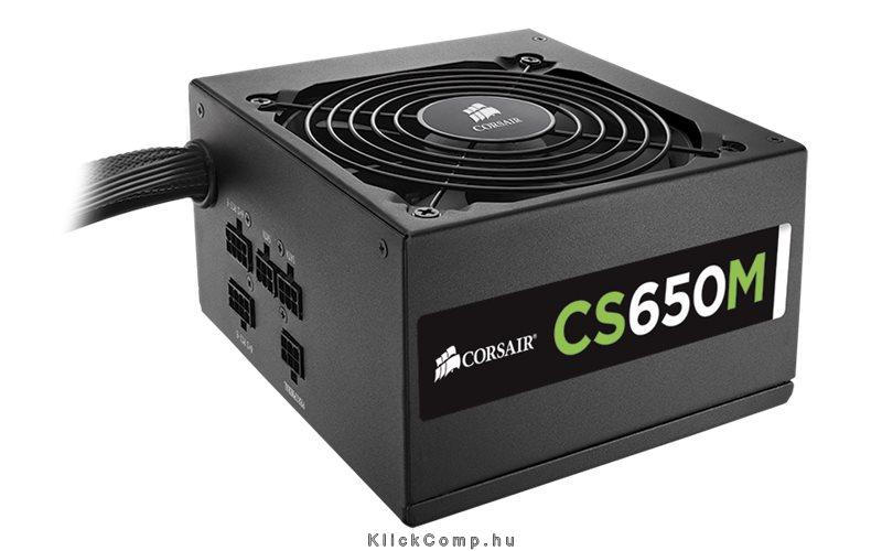 CS 650M Moduláris tápegység 80+ GOLD fotó, illusztráció : CP-9020077-EU