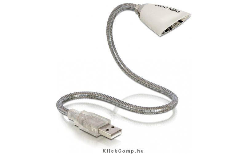 LED lámpa USB 2.0 Delock fotó, illusztráció : DELOCK-46307