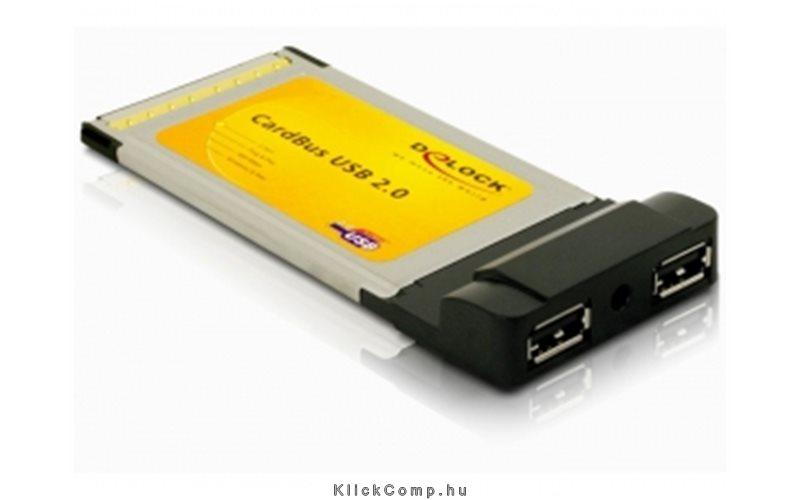 PCMCIA Adapter CardBus 2x USB 2.0 Delock fotó, illusztráció : DELOCK-61604