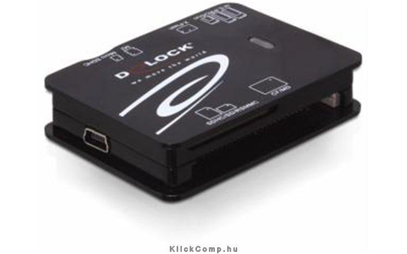 Memória-kártya olvasó All in 1 USB2.0 Delock fotó, illusztráció : DELOCK-91471