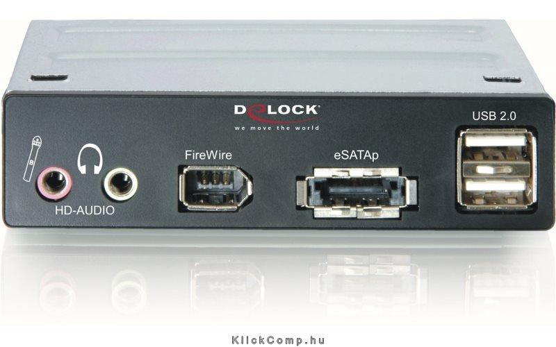 3.5“ Multipanel eSATAp/USB 2.0/FireWire/HD-Audio Delock fotó, illusztráció : DELOCK-91477