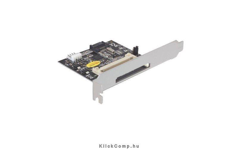 Memória-kártyaolvasó SATA II Compact Flash Delock fotó, illusztráció : DELOCK-91670