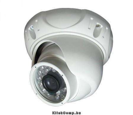 Dome kamera analóg, kültéri, 650/700TVL, 3,6mm, IP66, IR 20m, Super WDR, 3D DNR fotó, illusztráció : EN-DE20-WDR