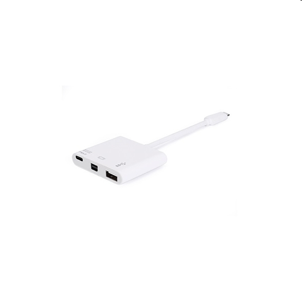 Átalakító USB Type-C - Mini DisplayPort USB-A USB Type-C apa/anya fotó, illusztráció : EQUIP-133463