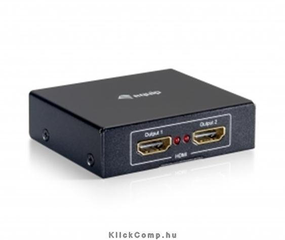 HDMI Video-Splitter, 2 port, FullHD, 3D Delock fotó, illusztráció : EQUIP-332712