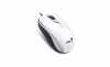Egér USB Genius DX-110 fehér GENMMDX110W Technikai adatok