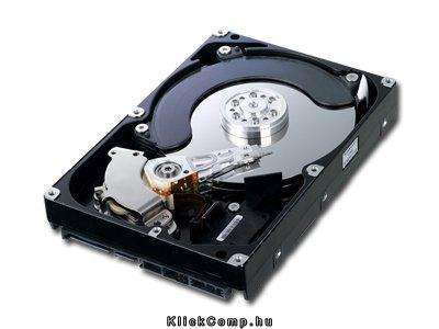 F3 Ecogrren HDD 1TB SATA/300 5400RPM 32MB PUFFER fotó, illusztráció : HD103SI