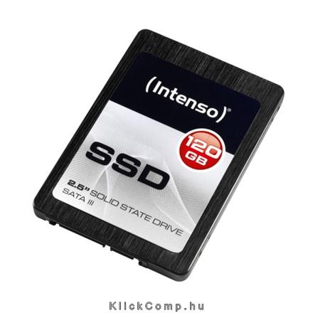 120GB SSD SATA3 INTENSO fotó, illusztráció : INTENSO-3813430