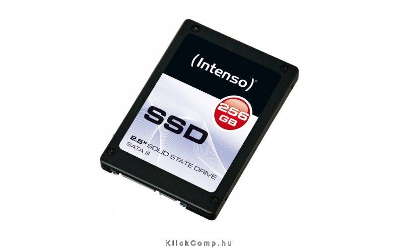 256GB SSD SATA3 fotó, illusztráció : Intenso-3812440
