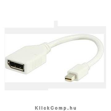 MINI DisplayPort M - DisplyPort F monitor adapter fotó, illusztráció : KKTMMDPDP00