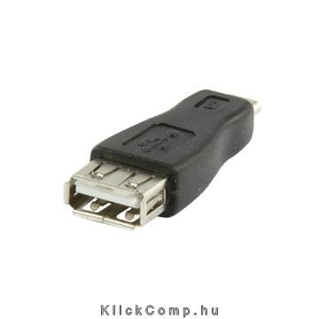 USB 2.0 A anya microB USB apa fotó, illusztráció : KKTU22MICRO00