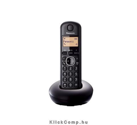 Panasonic DECT telefon fotó, illusztráció : KX-TGB210HGB